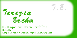 terezia brehm business card